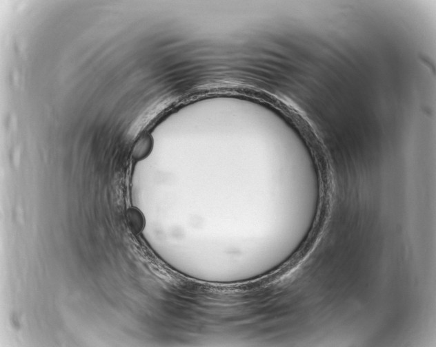 X0000100220921200805300744