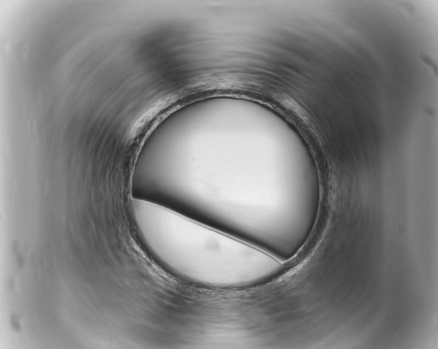 X0000100220922200805300744