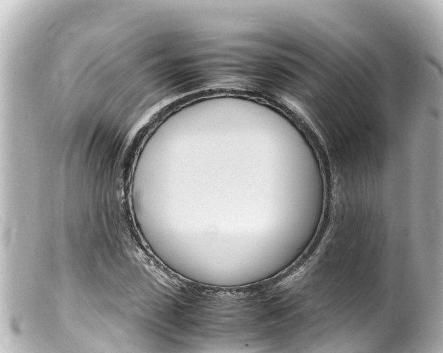 X0000100220923200805300744