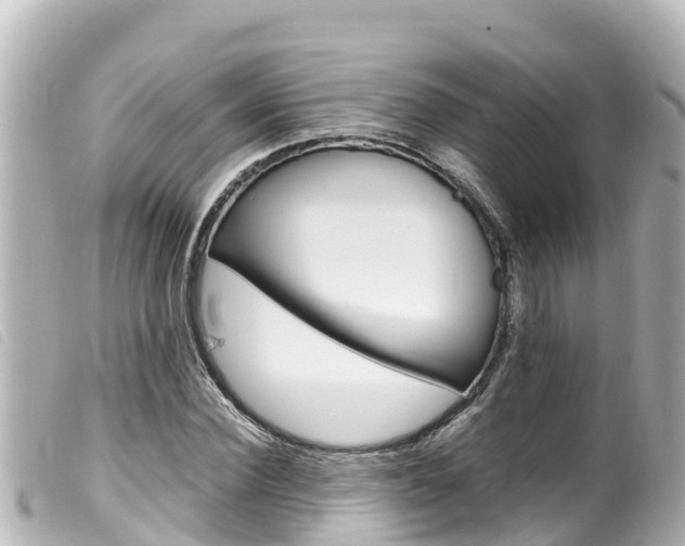 X0000100220924200805300744