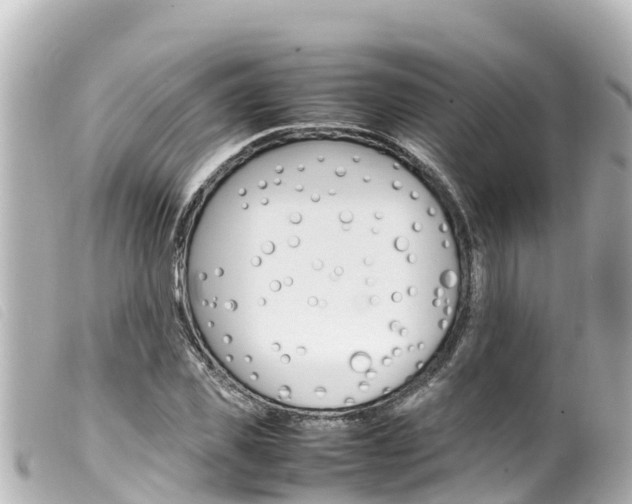 X0000100220925200805300744