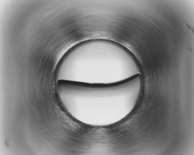 X0000100220926200805300744
