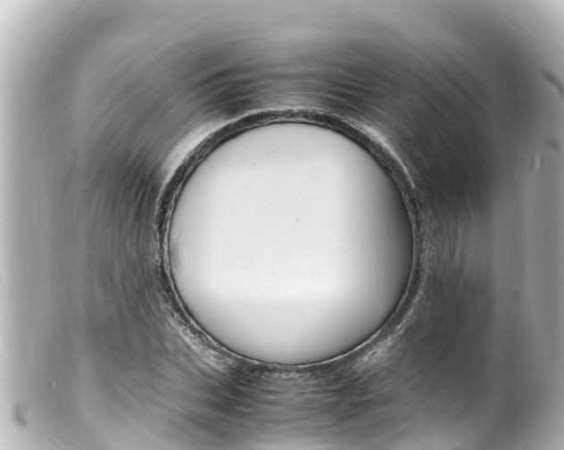 X0000100220927200805300744
