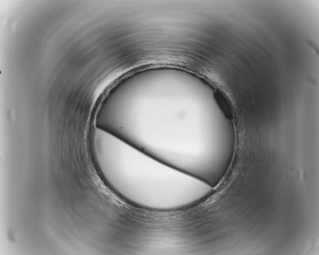 X0000100220928200805300744