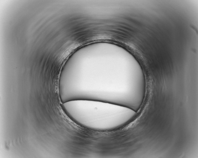 X0000100220929200805300744