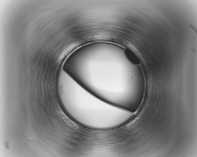 X0000100220930200805300744