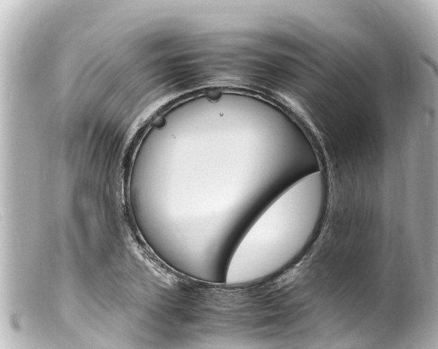 X0000100220931200805300744