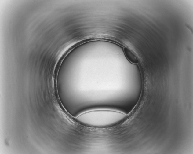 X0000100220932200805300744