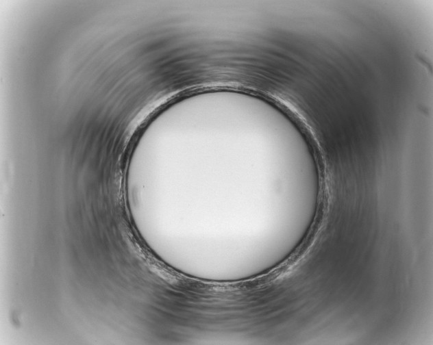 X0000100220933200805300744