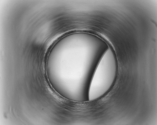 X0000100220935200805300744