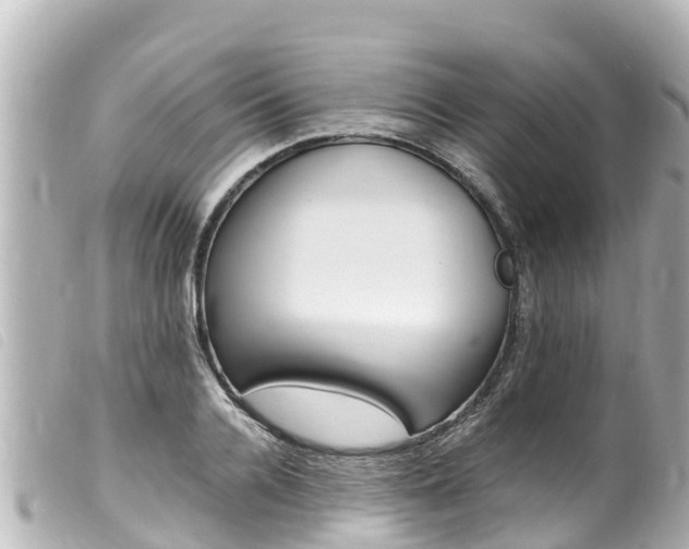 X0000100220936200805300744