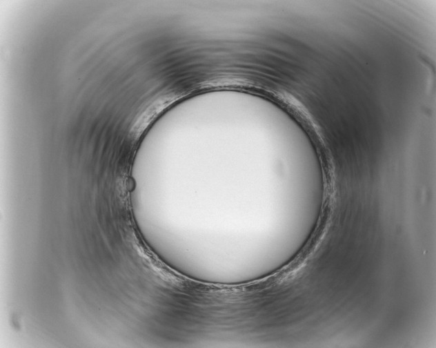 X0000100220937200805300744