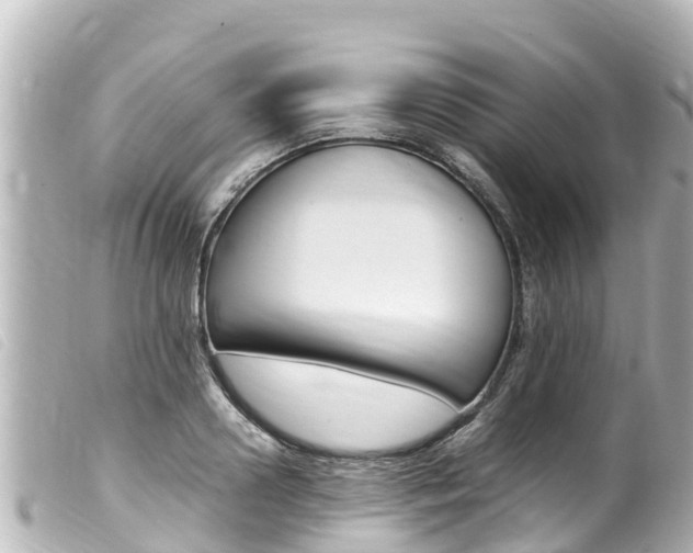 X0000100220938200805300744