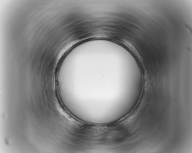 X0000100220939200805300744
