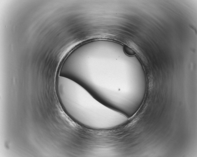 X0000100220940200805300744