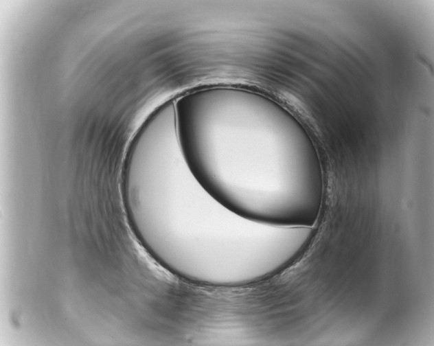 X0000100220942200805300744