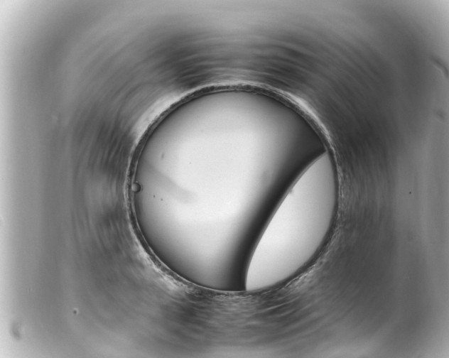 X0000100220943200805300744