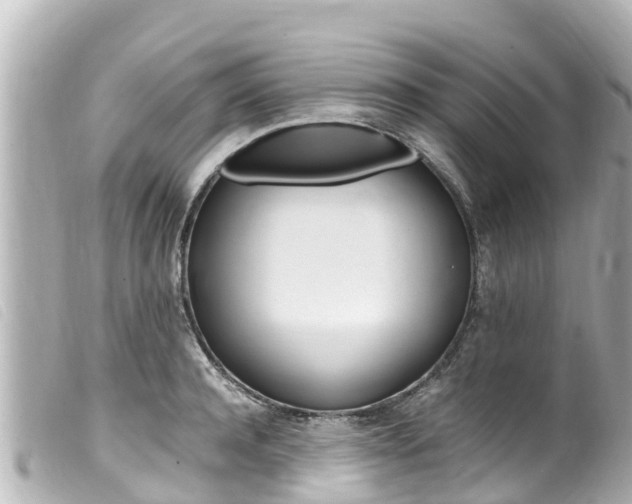 X0000100220944200805300744