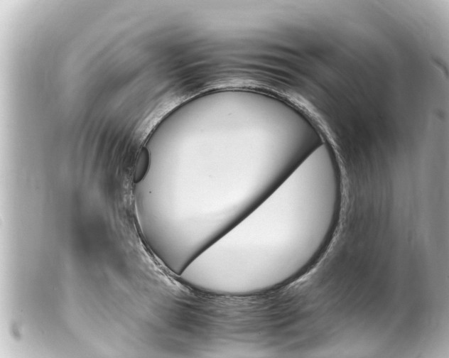 X0000100220945200805300744