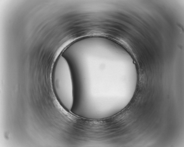 X0000100220947200805300745