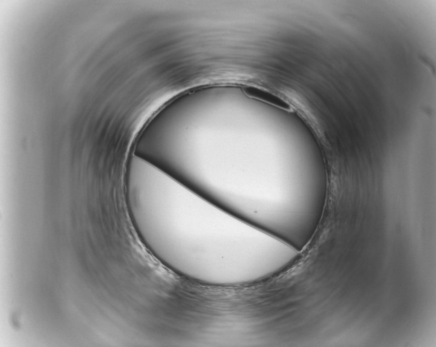 X0000100220948200805300745