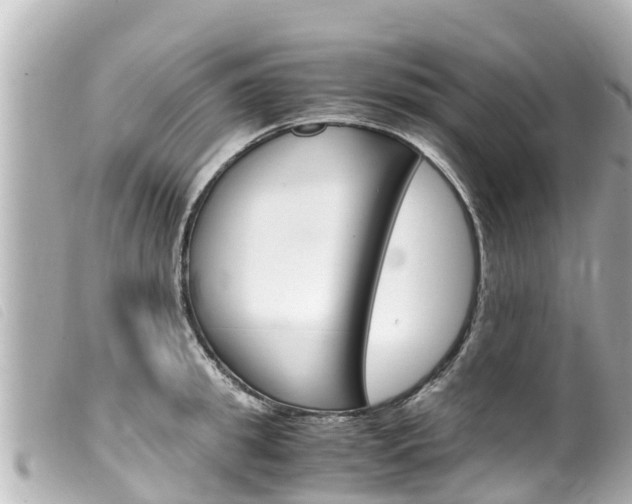 X0000100220949200805300745