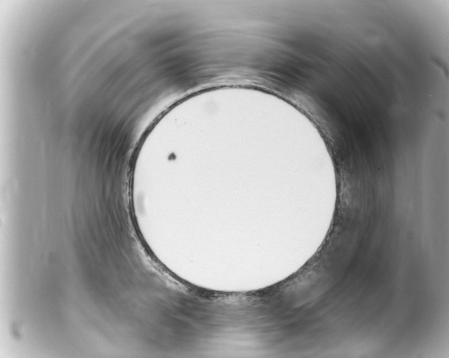 X0000100220950200805300745