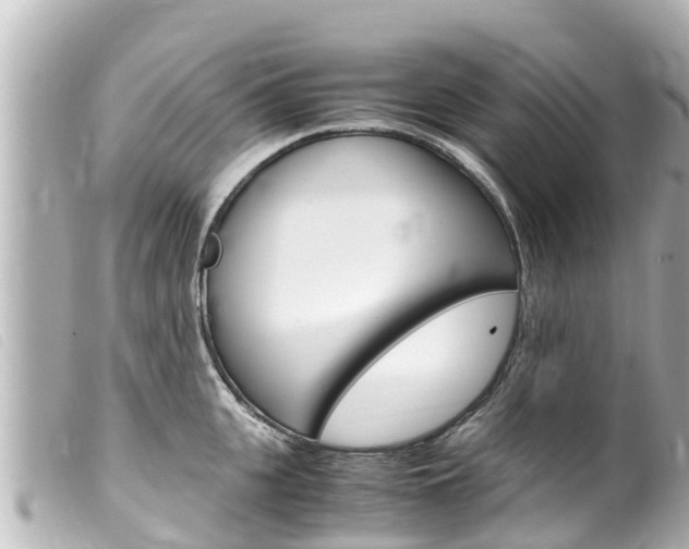 X0000100220951200805300745
