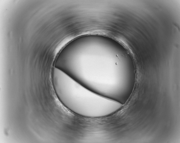 X0000100220952200805300745