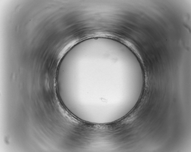 X0000100220954200805300745