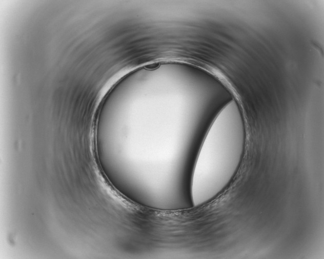 X0000100220955200805300745