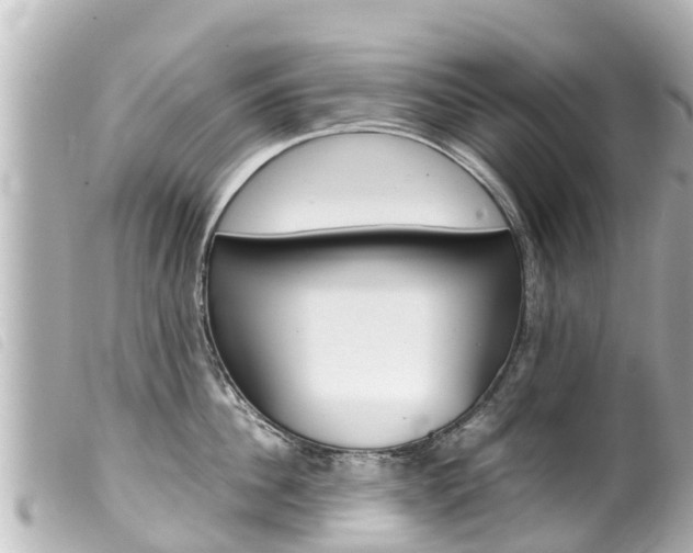 X0000100220956200805300745