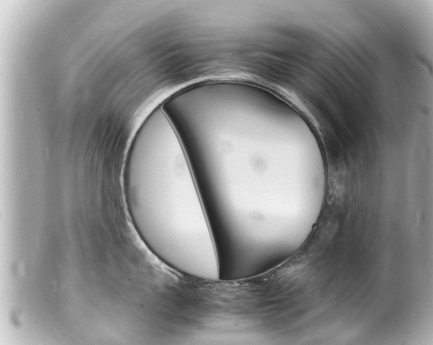 X0000100220959200805300745