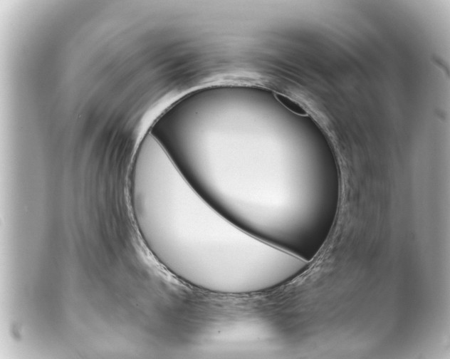 X0000100220960200805300745