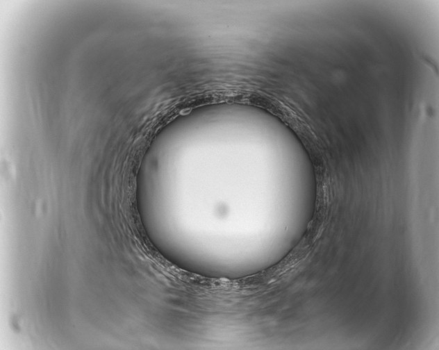 X0000100220961200805300744