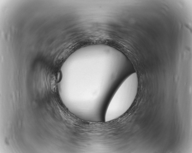 X0000100220963200805300744