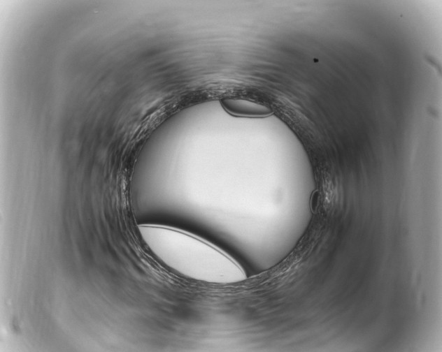 X0000100220964200805300744