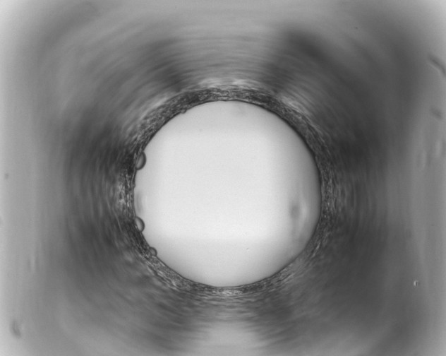 X0000100220966200805300744