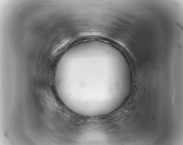 X0000100220967200805300744