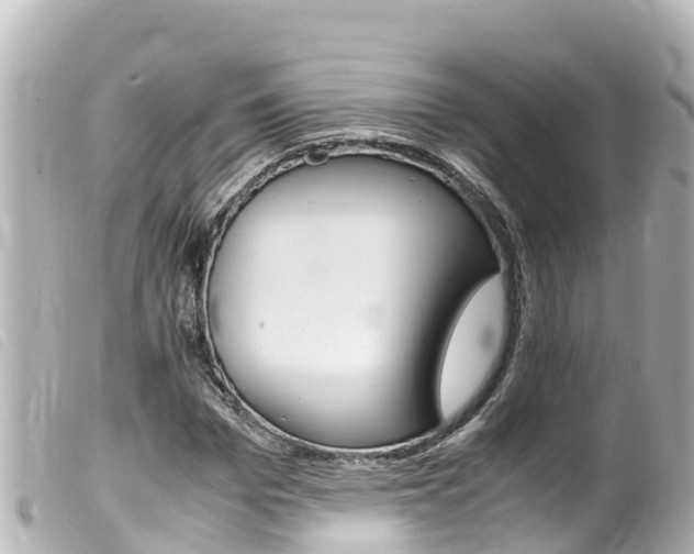 X0000100220969200805300744