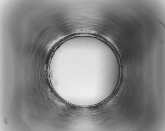 X0000100220971200805300744