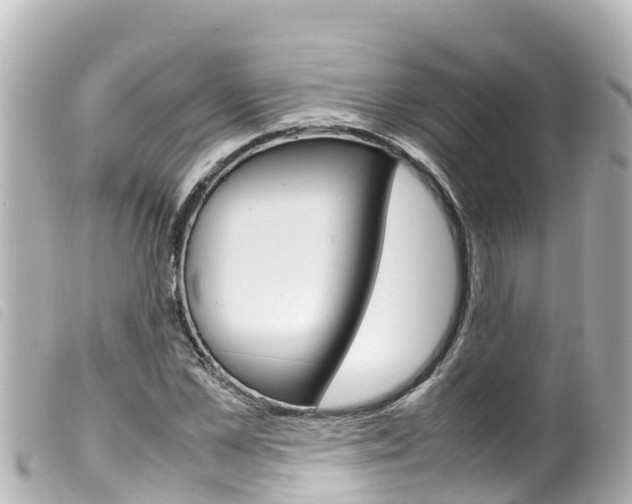 X0000100220973200805300744