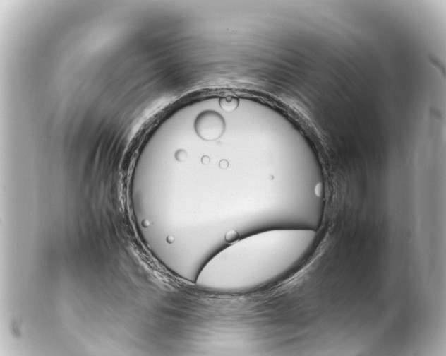 X0000100220974200805300744