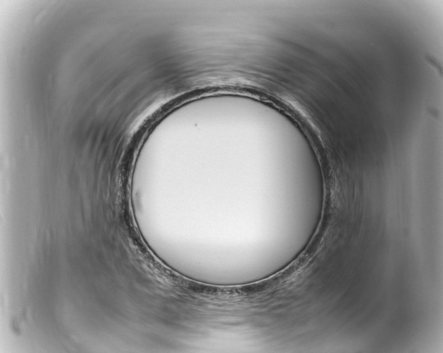 X0000100220975200805300744