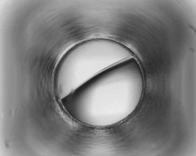 X0000100220976200805300744
