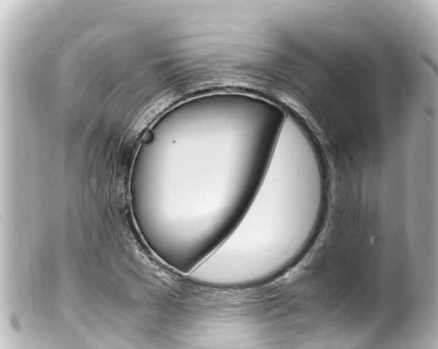 X0000100220977200805300744