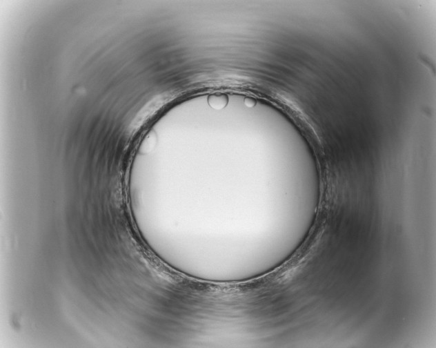 X0000100220978200805300744