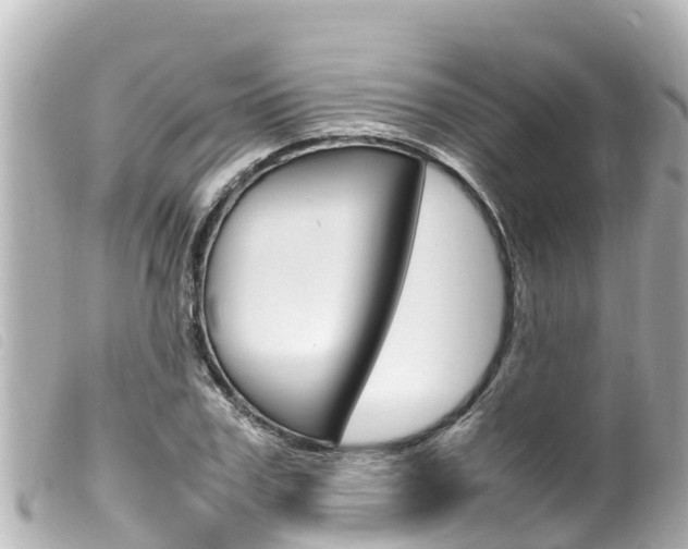 X0000100220979200805300744