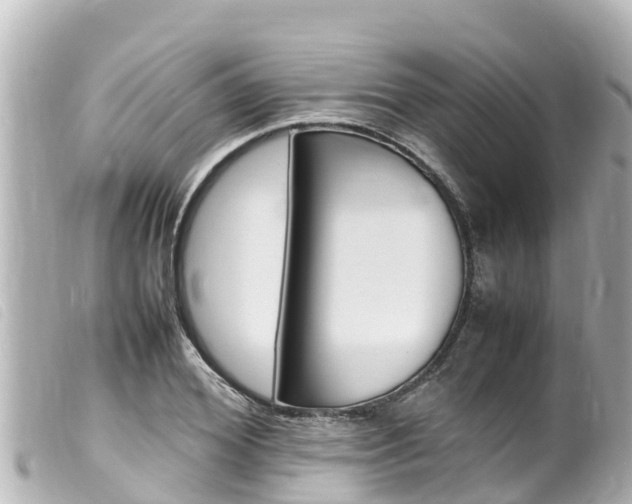 X0000100220980200805300744