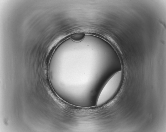 X0000100220981200805300744